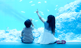 海のかわいい生き物に会いに行こう♪おすすめの水族館をご紹介！