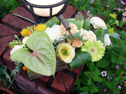 生活詳細 フラワーショップあや ライフサポート倶楽部 メンバーズナビ