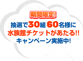 抽選25組50名様に水族館チケットがあたる！
