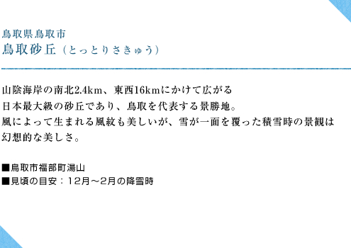鳥取砂丘