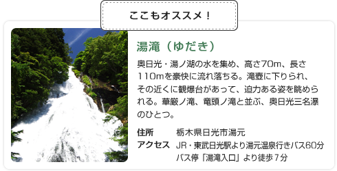 ここもオススメ！