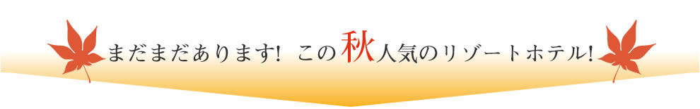 まだまだあります!
