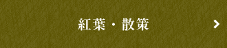 紅葉・散策
