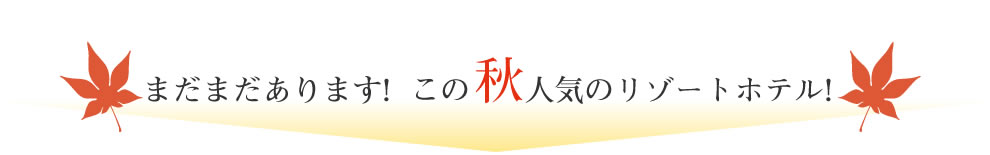 まだまだあります!