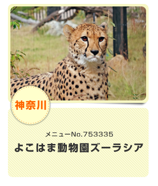 よこはま動物園ズーラシア