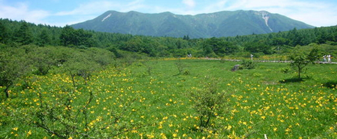 沼ッ原湿原