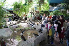 那須どうぶつ王国