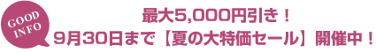 最大5,000円引き！9月30日まで【夏の大特価セール】開催中！

