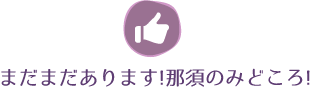 まだまだあります!那須のみどころ!