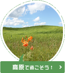 高原で過ごそう！