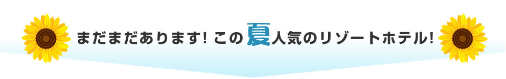 まだまだあります!