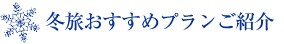 冬のプラン
