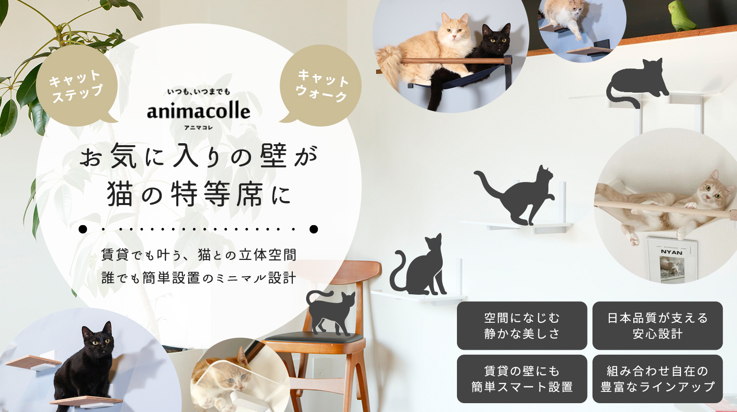アニマコレ