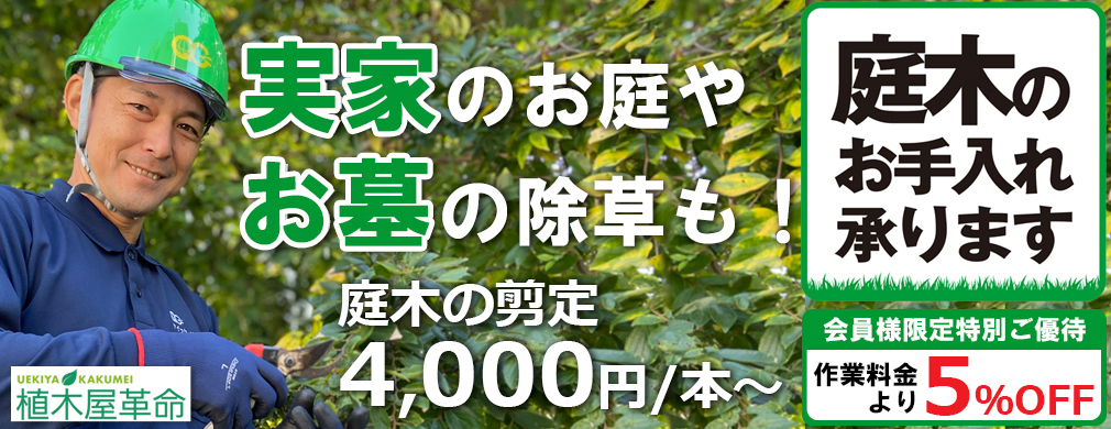 植木屋革命