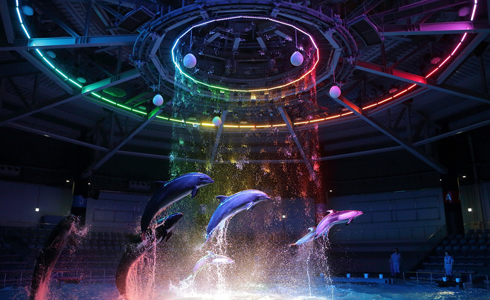水族館
