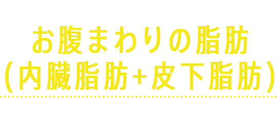お腹まわりの脂肪を減らす
