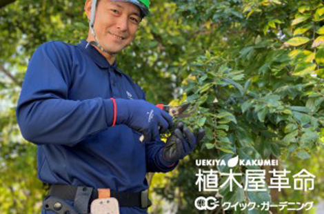 庭木お手入れサービスの<br>【植木屋革命】