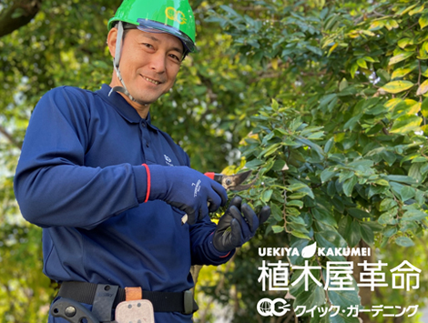 庭木お手入れサービスの<br>【植木屋革命】