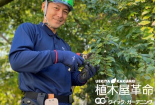 庭木お手入れサービスの【植木屋革命】