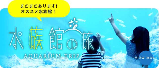 暑い夏水族館で涼をとろう｜リソルライフサポート倶楽部 ーメンバーズナビ