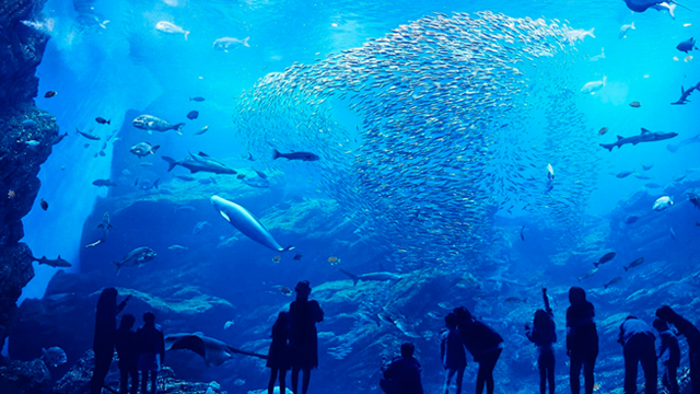 【真作】版画　リトグラフ　小さな水族館　爽やかな青のアクアリウム　Z153 世界とつながったお絵かき水族館 / Sketch Aquarium: Connected World
