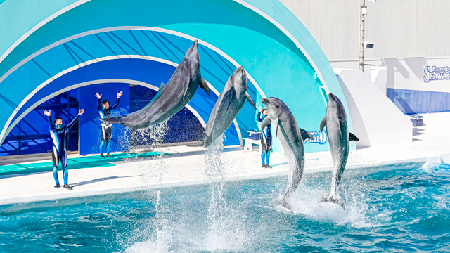 暑い夏水族館で涼をとろう｜リソルライフサポート倶楽部 ーメンバーズナビ