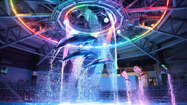 暑い夏水族館で涼をとろう｜リソルライフサポート倶楽部 ーメンバーズナビ
