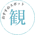 観