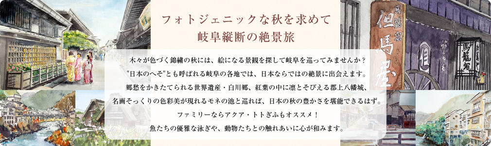 フォトジェニックな秋を求めて岐阜縦断の絶景旅