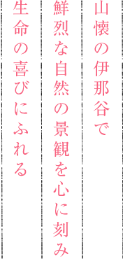 山懐の伊那谷で鮮烈な自然の景観を心に刻み生命の喜びにふれる