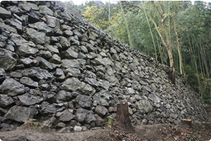 美濃金山城跡