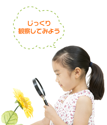 観察してみよう