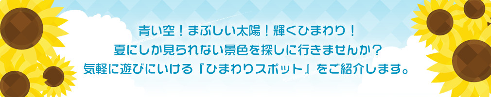 青い空！まぶしい太陽！輝くひまわり！