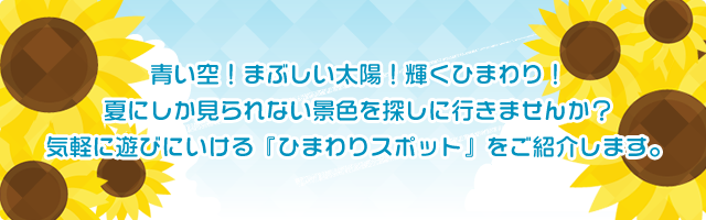 青い空！まぶしい太陽！輝くひまわり！