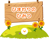 ひまわりのひみつ