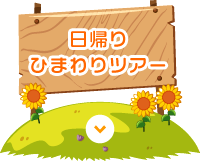 日帰りひまわりツアー