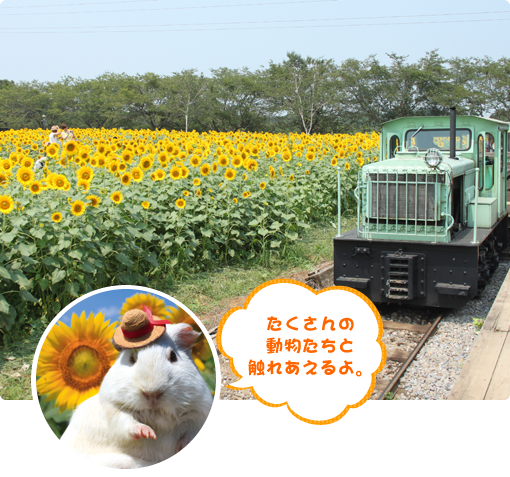 成田ゆめ牧場