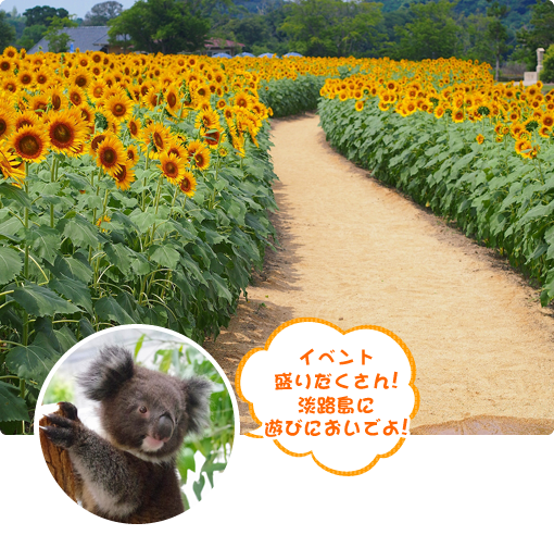 淡路ファームパークイングランドの丘