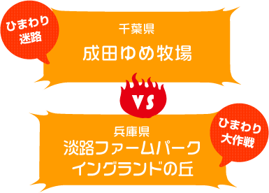 東西対決ひまわり畑