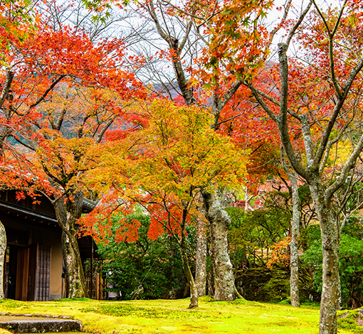 箱根美術館