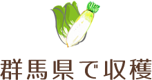 群馬県で収穫