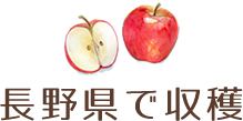 長野県で収穫