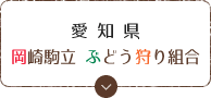愛知県