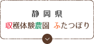静岡県