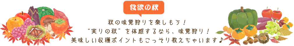 食欲の秋 秋に味覚狩りを楽しもう