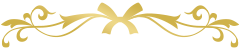 RECOMMENDED HOTELS