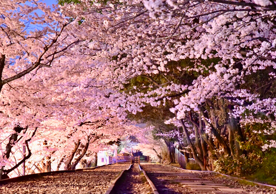 蹴上インクライン