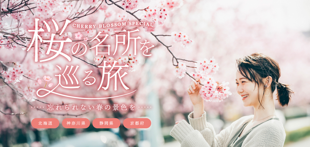 桜の名所を巡る旅