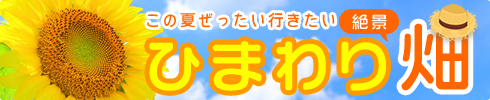 絶景ひまわり畑