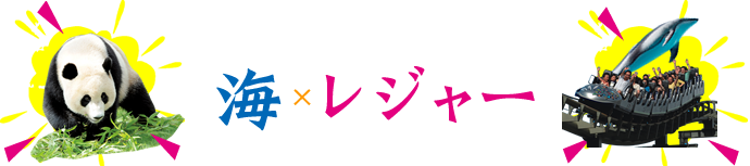 海のレジャー